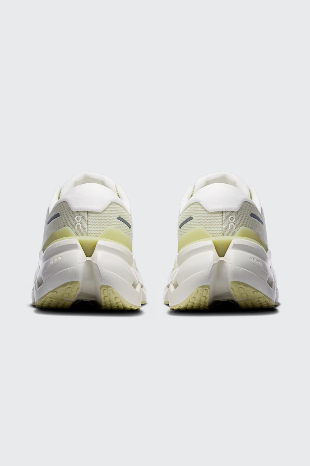 SEEDLING | IVORY