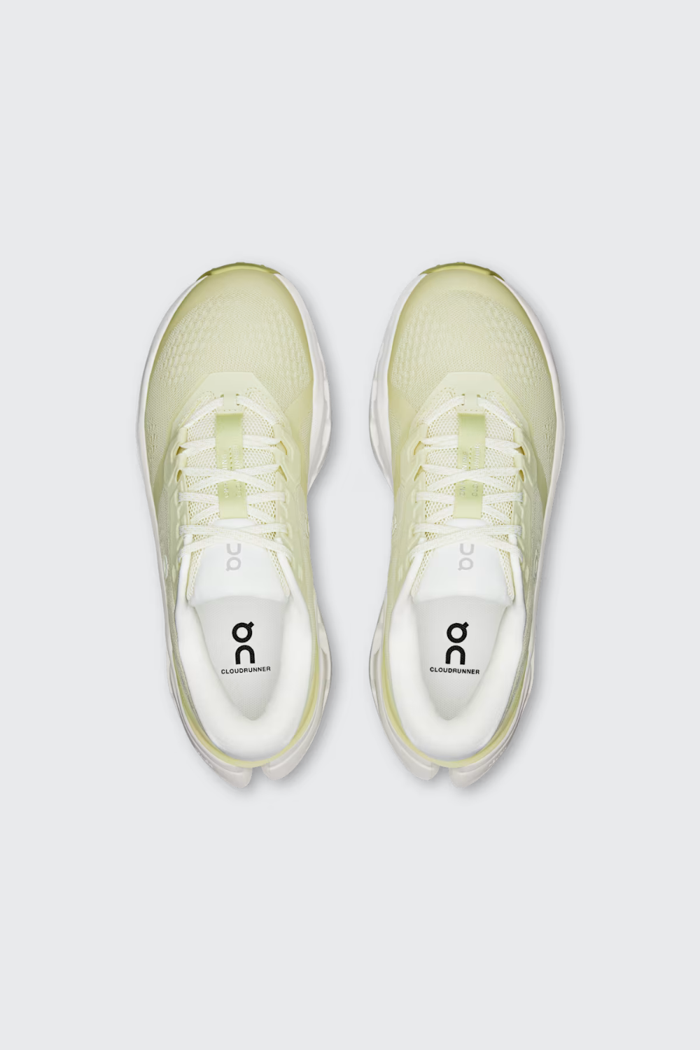 SEEDLING | IVORY